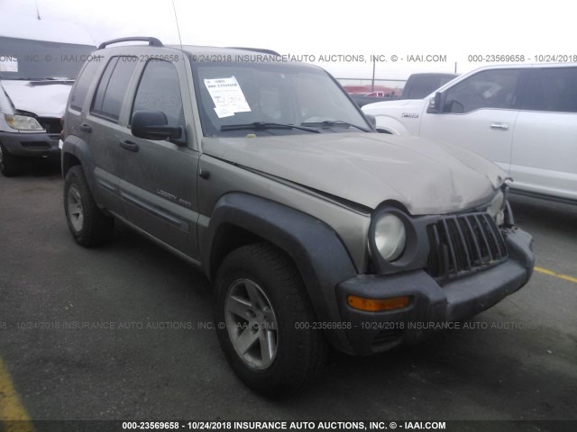 1J4GK48K63W578363 - 2003 JEEP LIBERTY SPORT/FREEDOM BEIGE photo 1