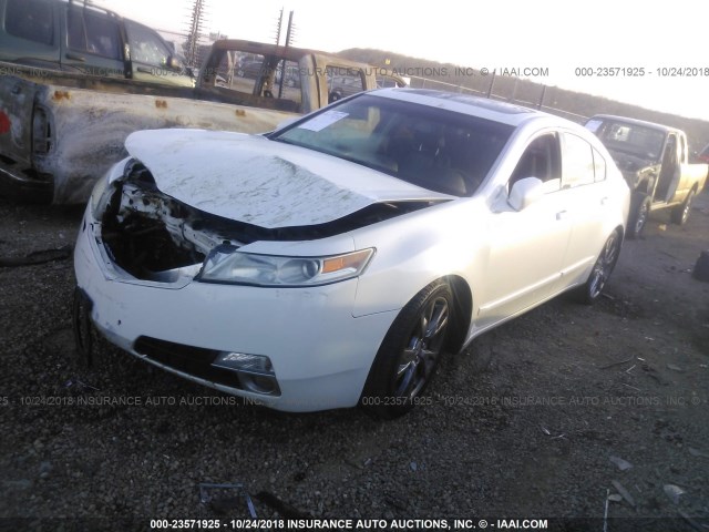 19UUA96519A006100 - 2009 ACURA TL WHITE photo 2