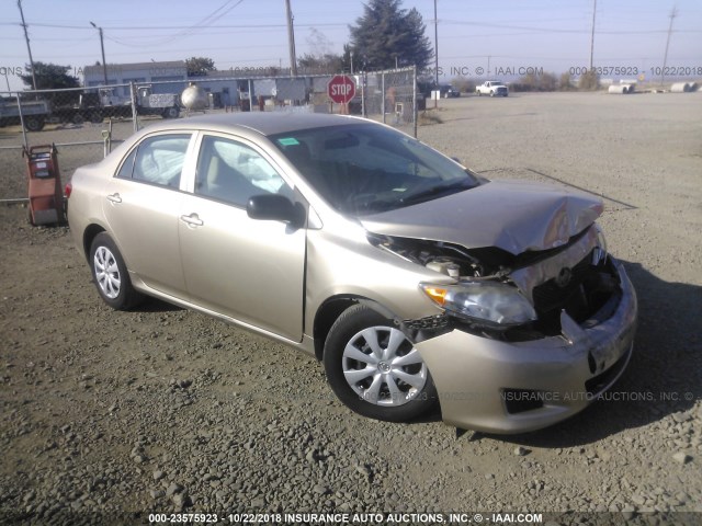 1NXBU40E49Z113385 - 2009 TOYOTA COROLLA S/LE/XLE GOLD photo 1