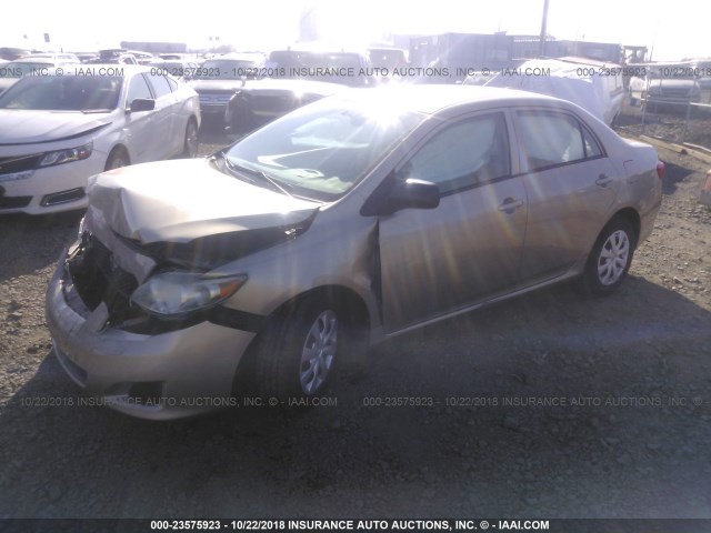 1NXBU40E49Z113385 - 2009 TOYOTA COROLLA S/LE/XLE GOLD photo 2