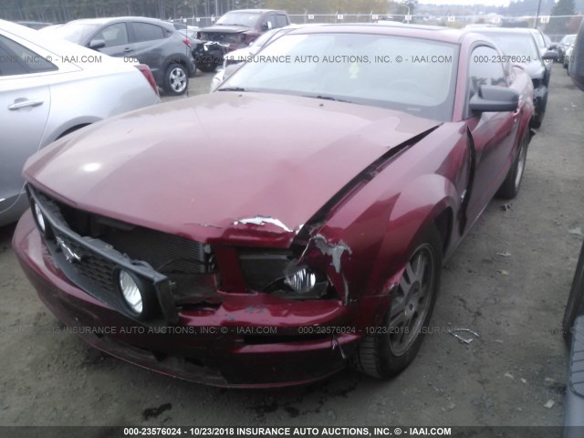 1ZVFT82H155141606 - 2005 FORD MUSTANG GT RED photo 2