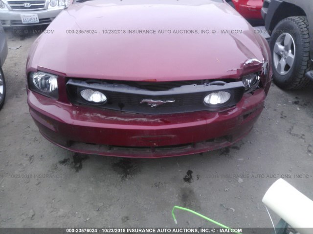 1ZVFT82H155141606 - 2005 FORD MUSTANG GT RED photo 6