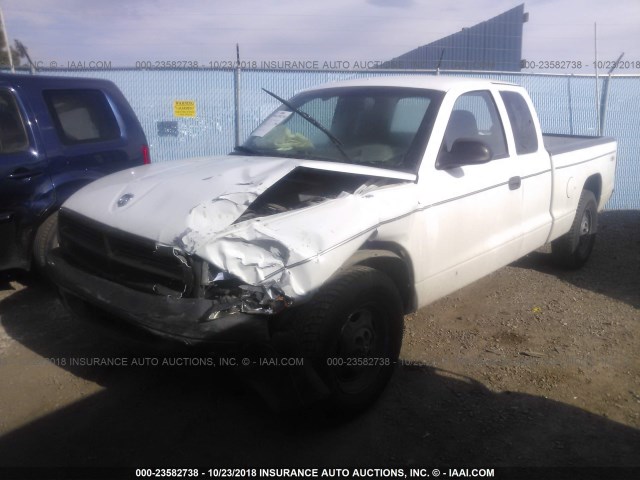 1D7HL12X23S213203 - 2003 DODGE DAKOTA SXT WHITE photo 1