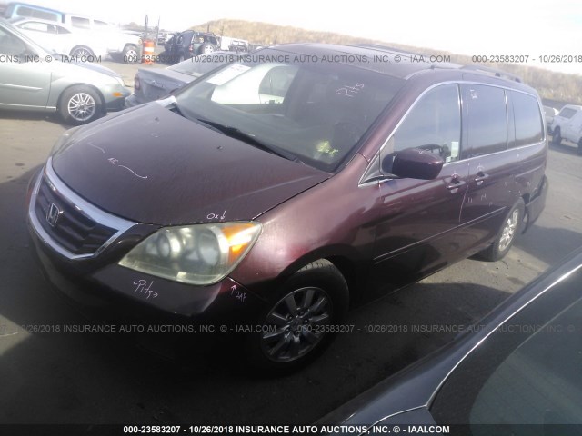 5FNRL3H74AB058441 - 2010 HONDA ODYSSEY EXL BURGUNDY photo 2