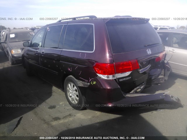 5FNRL3H74AB058441 - 2010 HONDA ODYSSEY EXL BURGUNDY photo 3