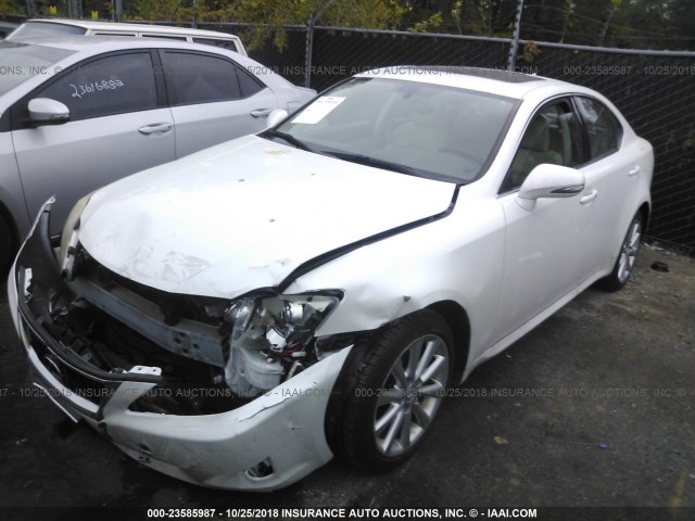 JTHCF5C21A5036921 - 2010 LEXUS IS 250 WHITE photo 2