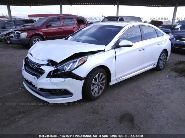 5NPE34AFXGH327879 - 2016 HYUNDAI SONATA SPORT/LIMITED WHITE photo 2