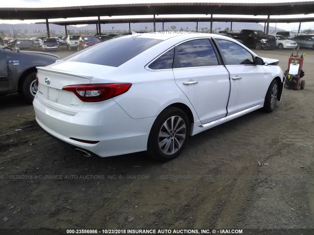 5NPE34AFXGH327879 - 2016 HYUNDAI SONATA SPORT/LIMITED WHITE photo 4