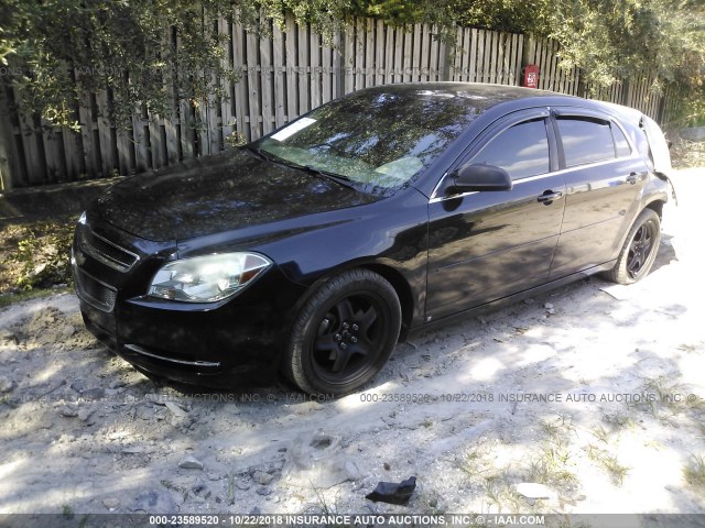 1G1ZG57B69F194303 - 2009 CHEVROLET MALIBU LS შავი ფოტო 2