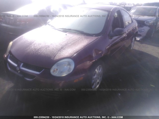 1B3ES56CX4D568576 - 2004 DODGE NEON SXT MAROON photo 2