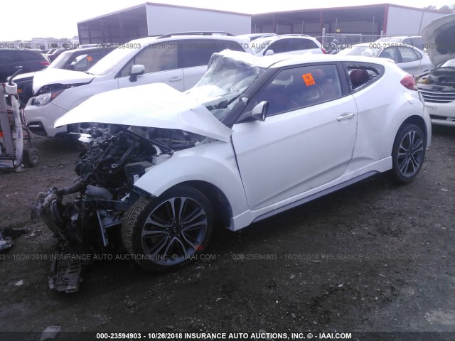 KMHTC6AE4GU254973 - 2016 HYUNDAI VELOSTER TURBO WHITE photo 2