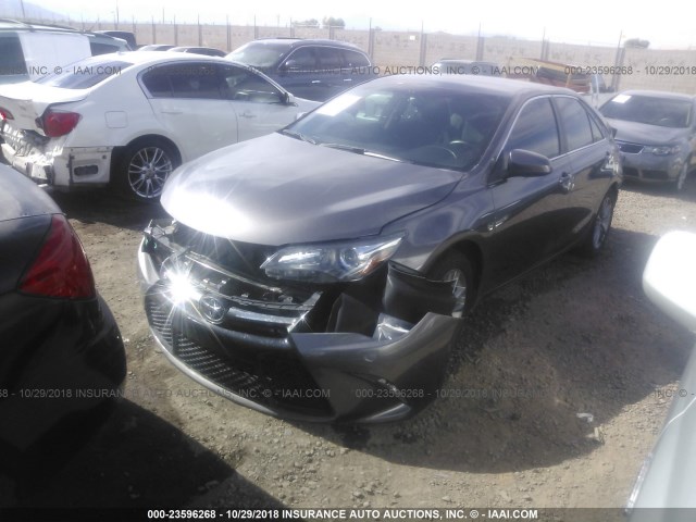4T1BF1FK6GU141644 - 2016 TOYOTA CAMRY LE/XLE/SE/XSE GRAY photo 2