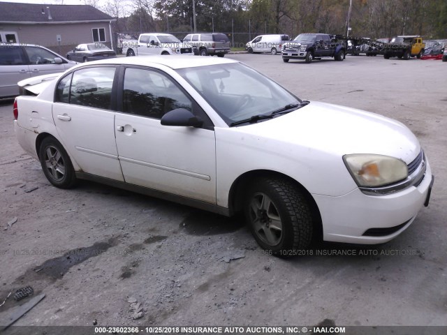 1G1ZT54895F210377 - 2005 CHEVROLET MALIBU LS 白色 照片 1