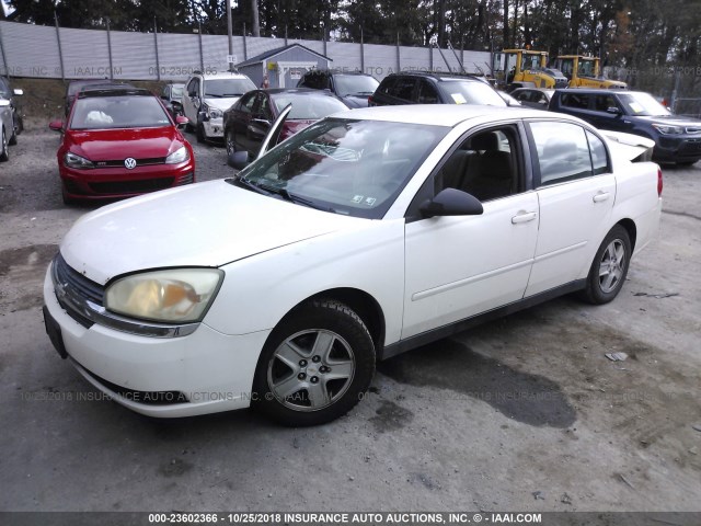 1G1ZT54895F210377 - 2005 CHEVROLET MALIBU LS 白色 照片 2