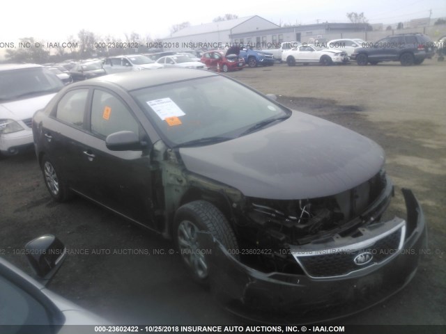 KNAFU4A20D5734651 - 2013 KIA FORTE EX GRAY photo 1