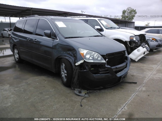 5FNRL38655B425120 - 2005 HONDA ODYSSEY EXL GRAY photo 1