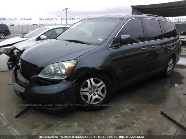 5FNRL38655B425120 - 2005 HONDA ODYSSEY EXL GRAY photo 2