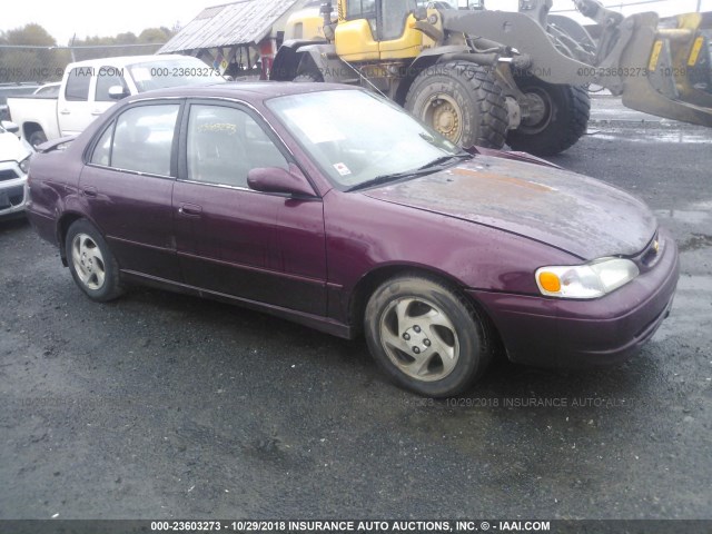 2T1BR18E5WC062495 - 1998 TOYOTA COROLLA VE/CE/LE RED photo 1