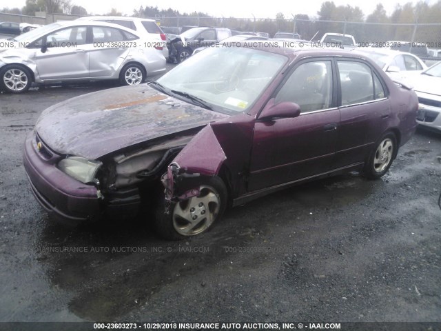 2T1BR18E5WC062495 - 1998 TOYOTA COROLLA VE/CE/LE RED photo 2