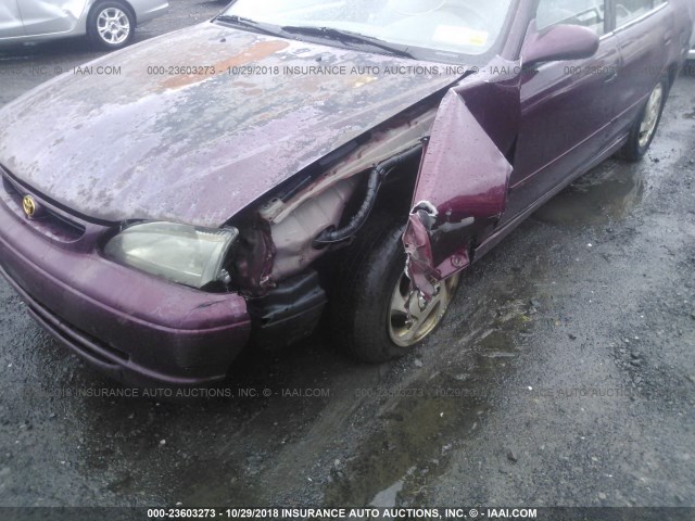 2T1BR18E5WC062495 - 1998 TOYOTA COROLLA VE/CE/LE RED photo 6