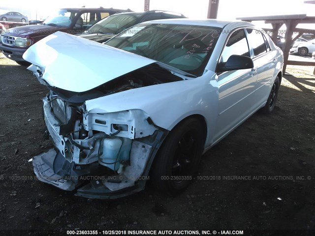 1G1ZA5EU0CF390430 - 2012 CHEVROLET MALIBU LS 白色 照片 2