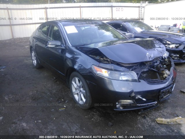 19UUA8F54DA016607 - 2013 ACURA TL TECH GRAY photo 1