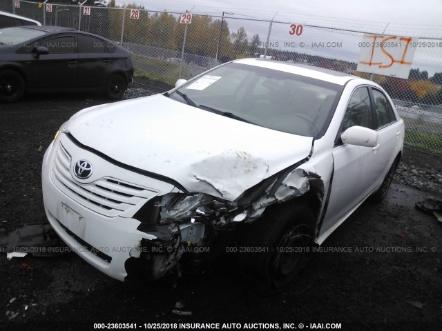 4T1BE46K07U718401 - 2007 TOYOTA CAMRY NEW GENERATION CE/LE/XLE/SE WHITE photo 2