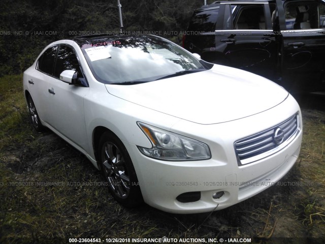 1N4AA5AP6CC819162 - 2012 NISSAN MAXIMA S/SV WHITE photo 1