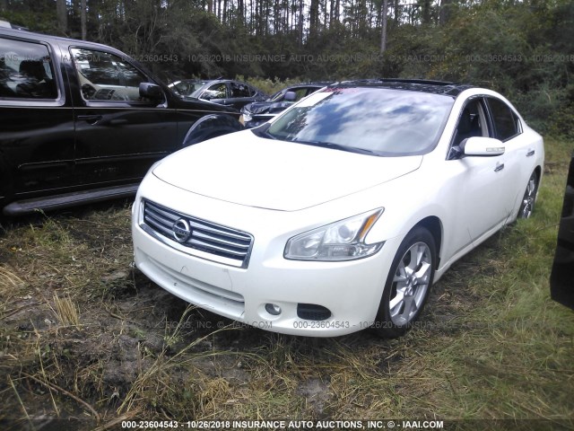 1N4AA5AP6CC819162 - 2012 NISSAN MAXIMA S/SV WHITE photo 2