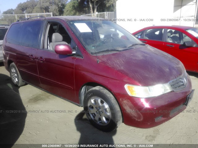 5FNRL180X3B034395 - 2003 HONDA ODYSSEY EXL RED photo 1