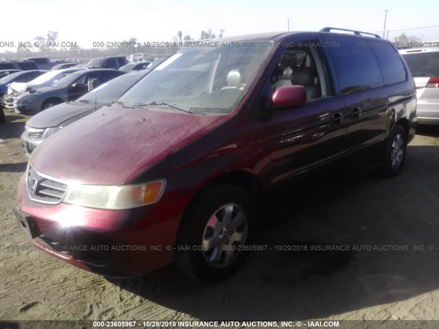 5FNRL180X3B034395 - 2003 HONDA ODYSSEY EXL RED photo 2