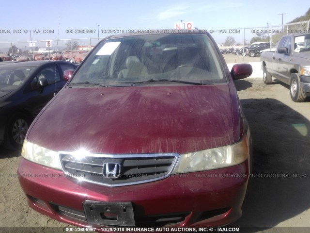 5FNRL180X3B034395 - 2003 HONDA ODYSSEY EXL RED photo 6