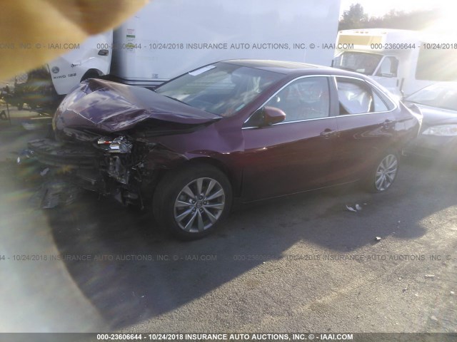 4T1BF1FK3HU673709 - 2017 TOYOTA CAMRY LE/XLE/SE/XSE RED photo 2