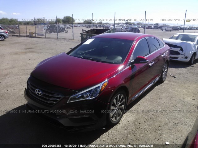 5NPE34AF2FH072692 - 2015 HYUNDAI SONATA SPORT/LIMITED RED photo 2