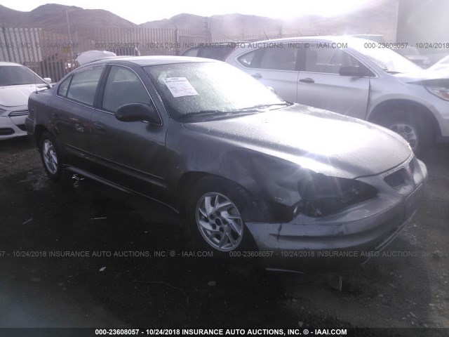 1G2NF52E64C240995 - 2004 PONTIAC GRAND AM SE1 GRAY photo 1