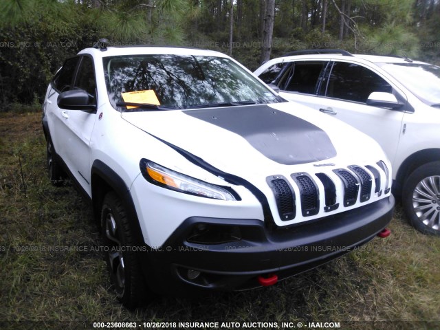 1C4PJMBS7HW587601 - 2017 JEEP CHEROKEE TRAILHAWK WHITE photo 1