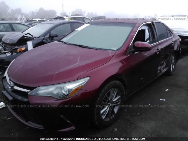 4T1BF1FK5GU546779 - 2016 TOYOTA CAMRY LE/XLE/SE/XSE RED photo 2