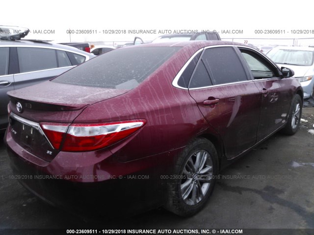 4T1BF1FK5GU546779 - 2016 TOYOTA CAMRY LE/XLE/SE/XSE RED photo 4