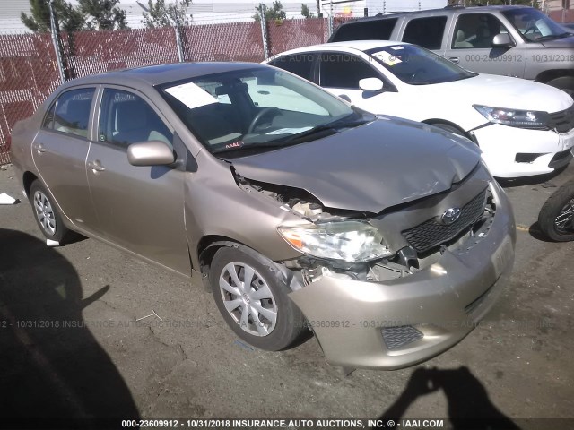 1NXBU4EE5AZ233855 - 2010 TOYOTA COROLLA S/LE/XLE TAN photo 1