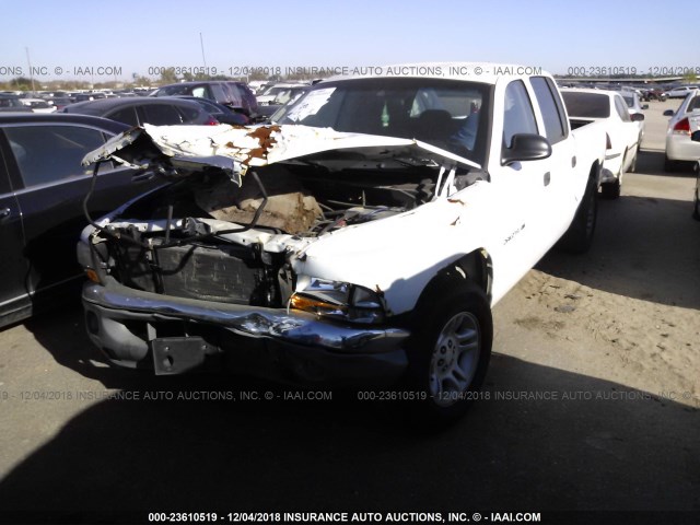 1B7GL2ANX1S101077 - 2001 DODGE DAKOTA QUAD WHITE photo 2