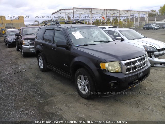 1FMCU49379KA54107 - 2009 FORD ESCAPE HYBRID BLACK photo 1