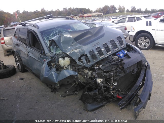 1C4PJMBS3EW179981 - 2014 JEEP CHEROKEE TRAILHAWK GRAY photo 1