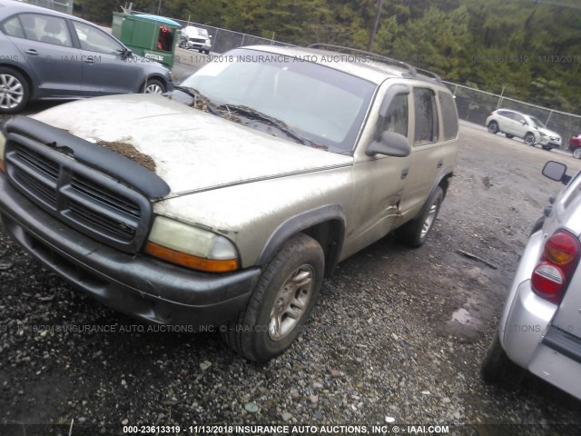 1B4HR38N52F196217 - 2002 DODGE DURANGO SPORT/SXT GOLD photo 2