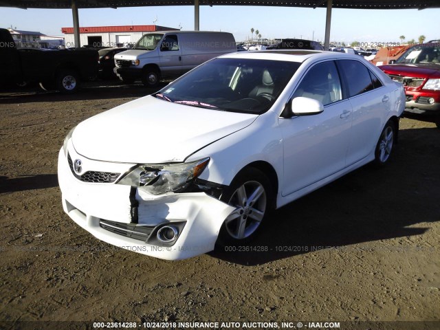 4T1BF1FK3DU238165 - 2013 TOYOTA CAMRY L/SE/LE/XLE Ağ foto 2