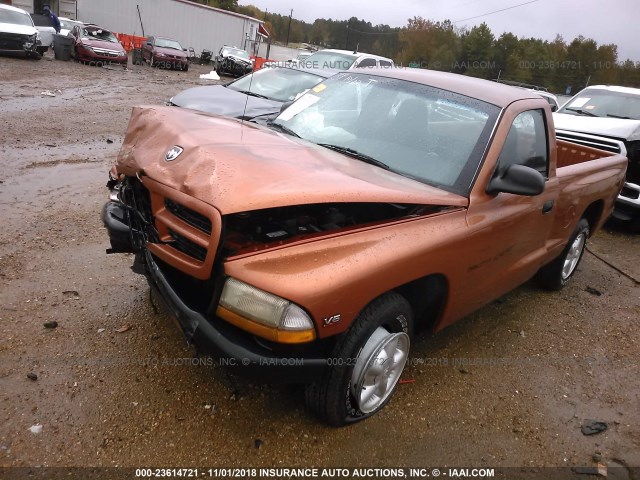 1B7FL26X9YS668865 - 2000 DODGE DAKOTA ORANGE photo 2