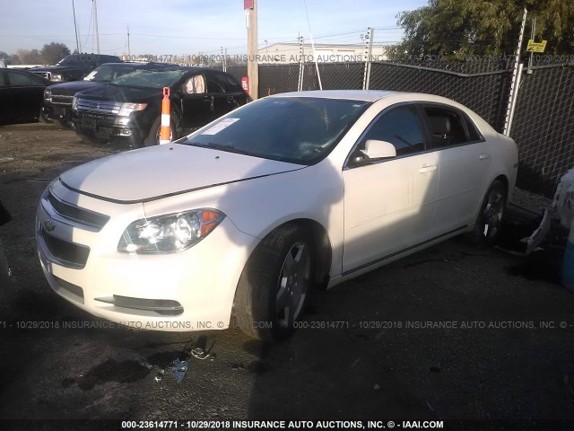 1G1ZD5E73A4134275 - 2010 CHEVROLET MALIBU 2LT WHITE photo 2