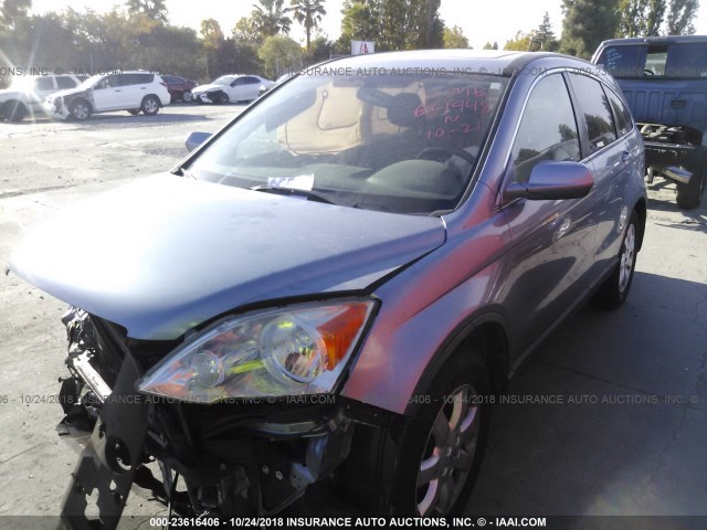 JHLRE48787C066535 - 2007 HONDA CR-V EXL BLUE photo 2