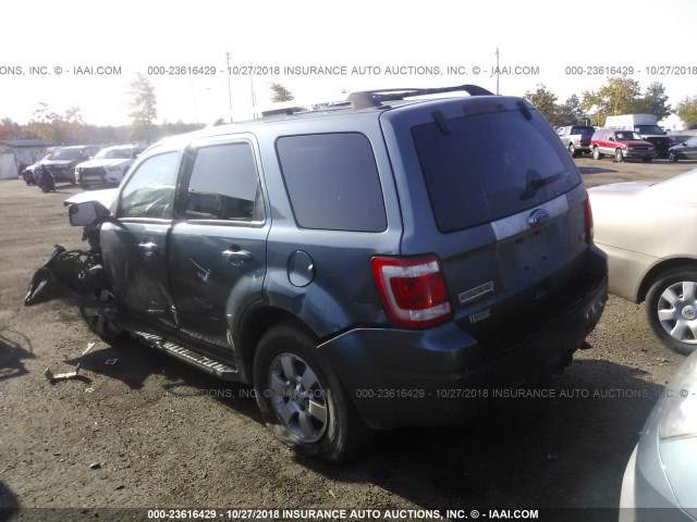 1FMCU0EG9BKB01516 - 2011 FORD ESCAPE LIMITED BLUE photo 3