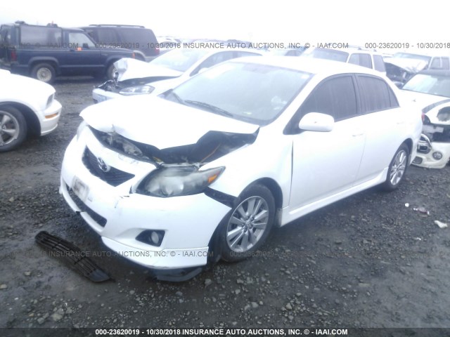 2T1BU4EEXAC447886 - 2010 TOYOTA COROLLA S/LE/XLE WHITE photo 2