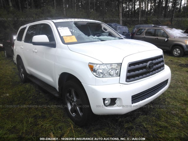 5TDZY5G12DS048663 - 2013 TOYOTA SEQUOIA SR5 WHITE photo 1